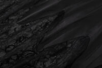 8 Luxe Solitaire | 高級ランジェリー・グジュアリーサテンレースベビードール/スリップ(ワイヤーなし) | 即日発送・サイズ交換NG・メール便対象】輸入下着・ランジェリー<LS0002>